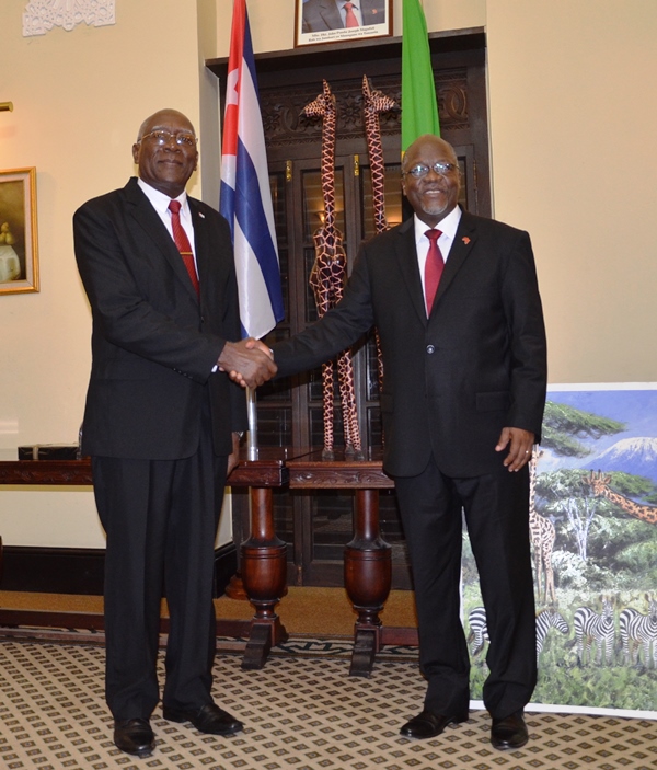 Rais Magufuli Akutana Na Makamu Wa Rais Wa Jamhuri Ya Cuba, Ikulu Jijini Dar