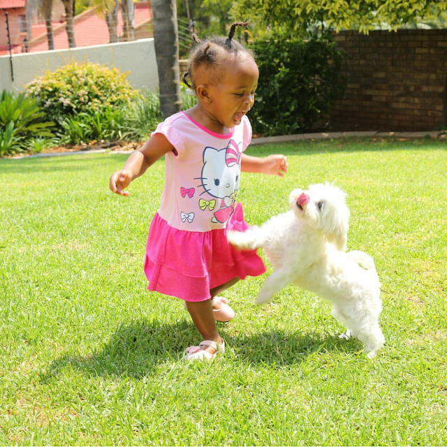 Umeshaisoma Hii..!!! Hawa Ndio Watoto wa Mastaa Bongo Wanaotikisa Mitandao ya Kijamii,Tueleze Wewe Unamkubali Tupi?