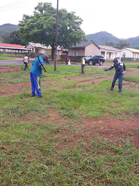 MWISHO WA MWEZI  NI  KAZI TU..ONA HUYU MKURUGENZI WA ILEJE DC HAJI MNASI AKIFYEKA NYASI