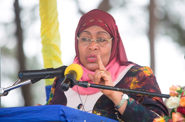 Makamu wa Rais Samia Suluhu Hassan Awataka Watanzania Kumuenzi Baba wa Taifa Kwa Kuwekeza Katika Viwanda