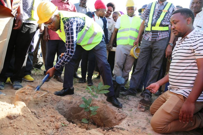 Waziri Makamba Aongoza Kampeni za Upandaji was Miti Katika Mji was Serikali