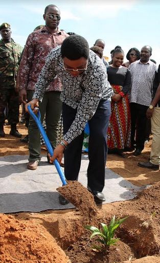 Waziri Mkuu: Hatutamvumilia Atakayehujumu Mkakati Wa Kufufua Zao La Michikichi