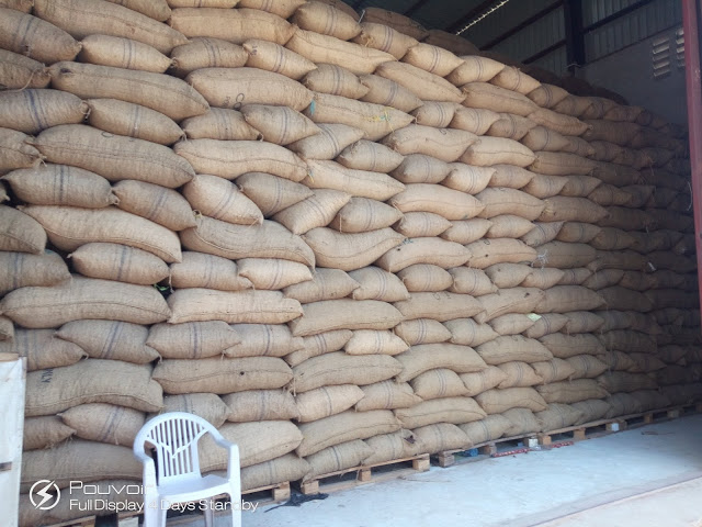 Zaidi Ya Bil. 16.324.9 Zimelipwa Kwa Wakulima Wa Korosho Mkoani Pwani