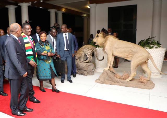 RAIS DKT. MAGUFULI AKUTANA NA KUFANYA MAZUNGUMZO NA RAIS EMMERSON MNANGAGWA WA ZIMBWABWE