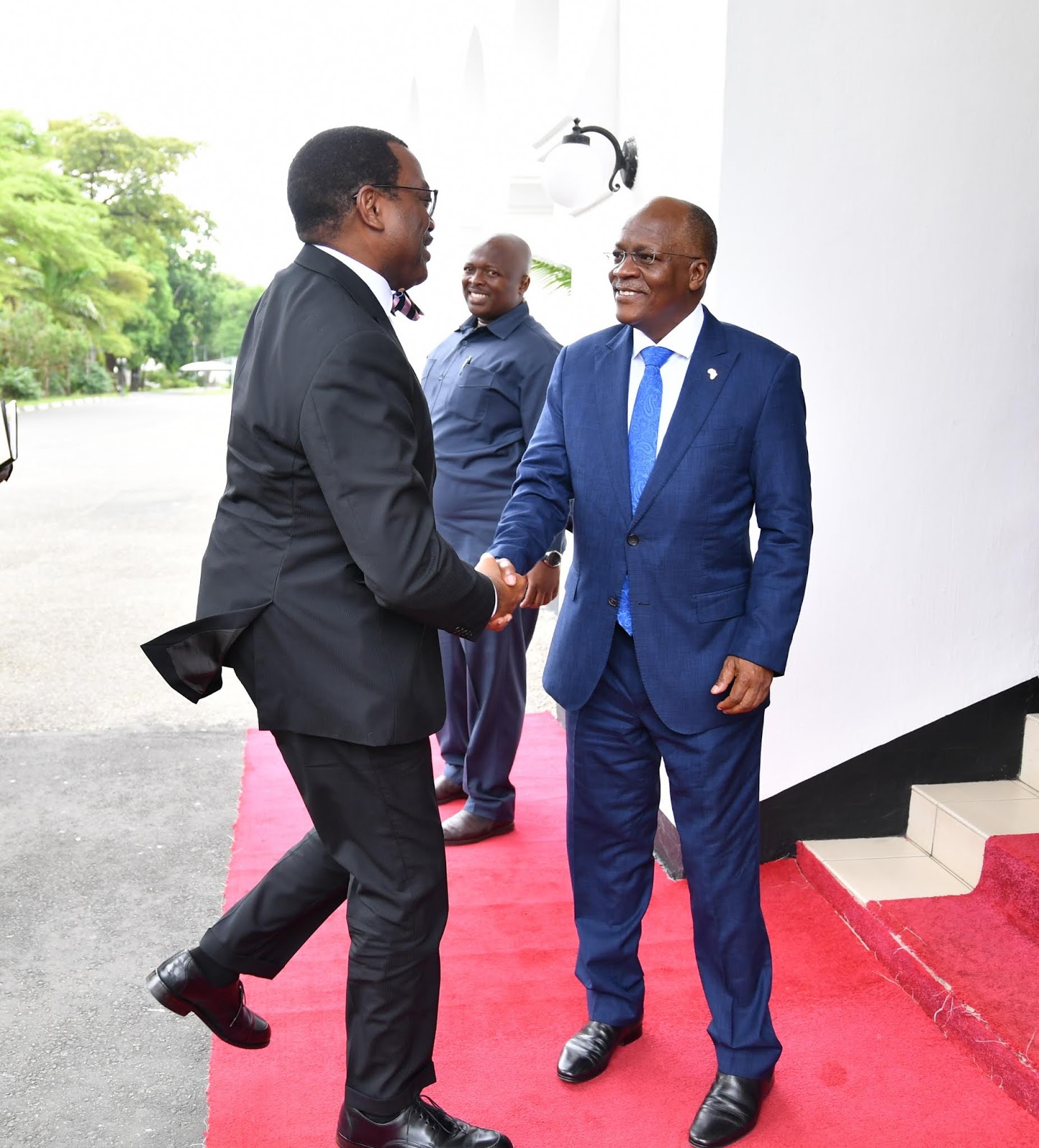 RAIS MHE. DKT. MAGUFULI AKUTANA NA KUFANYA MAZUNGUMZO NA RAIS WA BENKI YA MAENDELEO YA AFRIKA (AFRICAN DEVELOPMENT BANK (AfDB) DKT. AKINWUMI ADESINA IKULU JIJINI DAR ES SALAAM