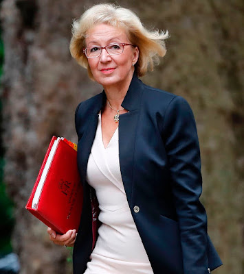 KIONGOZI BARAZA LA WAWAKILISHI UINGEREZA LEADSOM AACHIA NGAZI