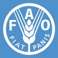 Job Opportunity at Food and Agriculture Organization (FAO), Consultant (Governance of Land)