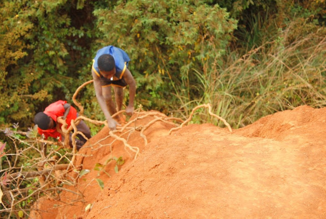 Viongozi Kasulu watakiwa kuimarisha usalama Korongo la Bolelo