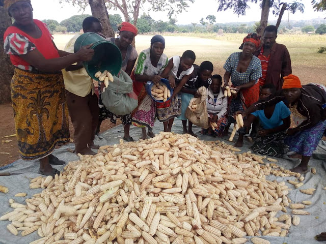 KIKUNDI CHA NGUVUKAZI CHATOA MSAADA WA CHAKULA MUSOMA VIJIJINI MKOANI MARA
