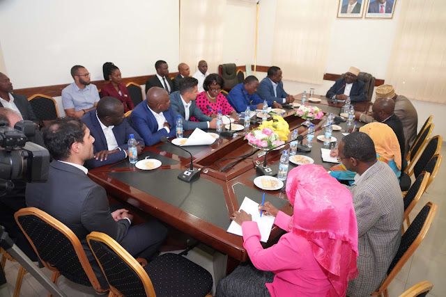Diaspora kusimamia ujenzi wa Daraja refu Zanzibar