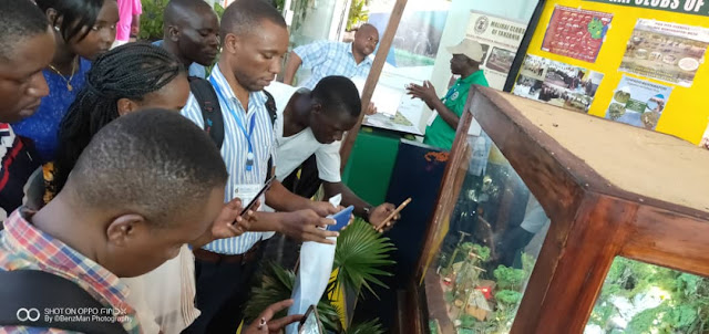 MAMIA WAVUTIWA NA KIJIJI CHA MFANO KILICHOHIFADHIWA KWENDE BANDA LA WAKALA WA HUDUMA ZA MISITU TANZANIA (TFS)