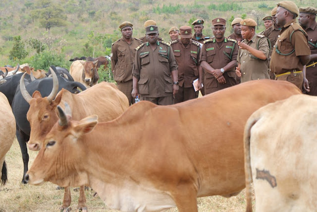CGP PHAUSTINE KASIKE AKAGUA SHAMBA LA MIFUGO GEREZA RUSUMO, AWATAKA KUONGEZA UZALISHAJI WA MIFUGO