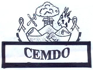Job Opportunity at CEMDO –Tanzania, Finance Manager