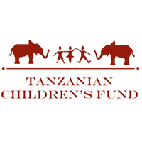 Job Opportunity at Tanzanian Children’s Fund, Digital Media and Sponsorship Coordinator