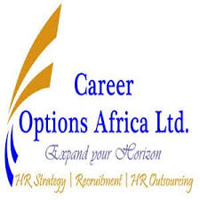 Job Opportunity at Career Options Africa – Tanzania, Branch Manager