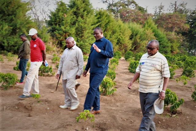 SERIKALI KUBADILISHA KILIMO CHA KUJIKIMU KWENYE KAHAWA KUWA KILIMO CHA BIASHARA-HASUNGA