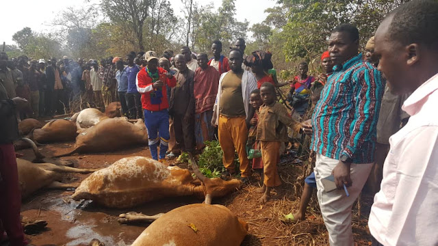 NG’OMBE 22 WAFARIKI PAPO HAPO BAADA YA KUPIGWA NA RADI