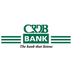 Job Opportunity at CRDB Bank, Manager; Customer Insights and Impact Analysis