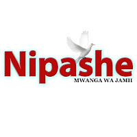Job Opportunity at Nipashe, Journalist (Mwandishi)
