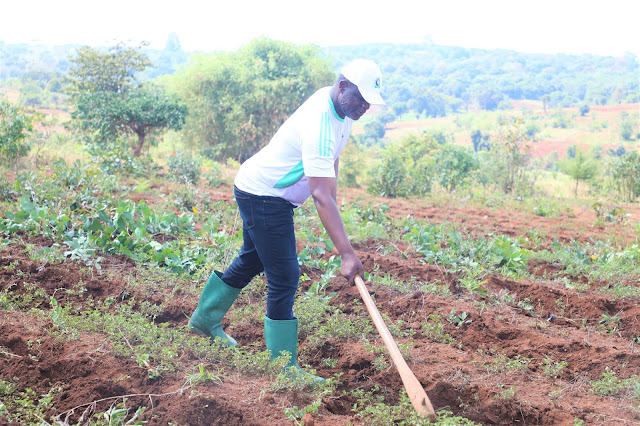 WAZIRI HASUNGA APIGILIA MSUMARI, SERIKALI HAITOPANGA BEI ELEKEZI YA MAHINDI NA MCHELE