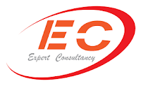 Job Opportunity at EXPERT CONSULTANCY, Senior Corporate Accountant