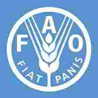 Job Opportunity at Food and Agriculture Organization (FAO), National Consultant