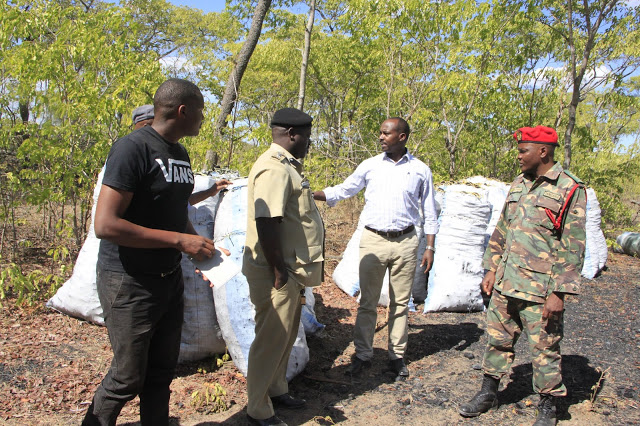 SERIKALI WILAYANI IKUNGI MKOANI SINGIDA YATAIFISHA MAGUNIA 121 YA MKAA
