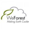 Job Opportunity at WeForest – Consultancy – Forestry and Sustainability expert