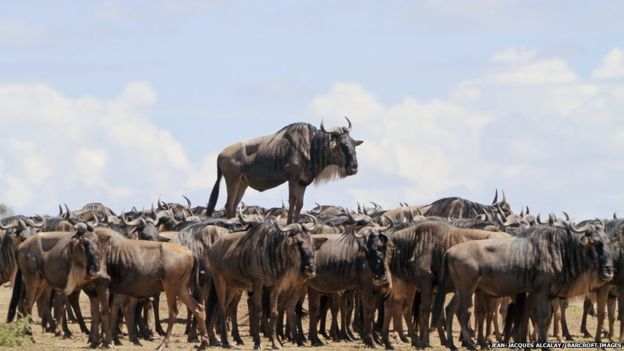 UTALII WAANZA KUPAA JUMUIYA YA MBARANG’ANDU, NAMTUMBO.