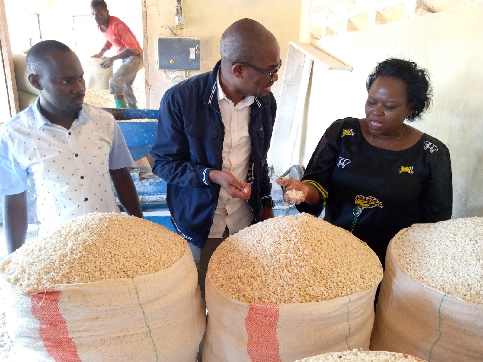 BENKI YA KILIMO YATOA BILIONI 2.8 KUSAIDIA VYAMA VYA MSINGI VINAVYOLIMA MAHINDI RUVUMA