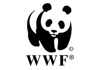 Job Opportunity at WWF (TRAFFIC), Researcher