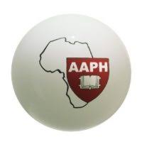 Job Opportunity at Africa Academy for Public Health - Project Manager