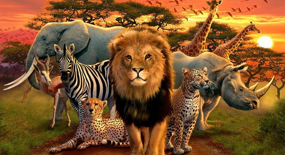 BEST NATIONAL PARKS TO VISIT  IN AFRICA IN 2023