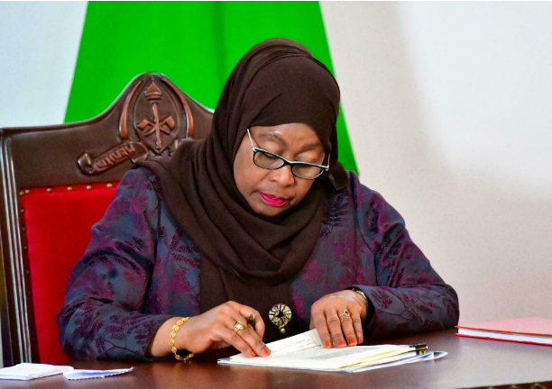 BREAKING NEWS: Mhe.Rais Samia Suluhu afanya Mabadiliko Baraza la Mawaziri...Ateua mawaziri wapya Hawa Hapa