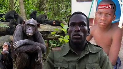 Kijana Aliyelelewa na NYANI Sasa Aonyesha Kipaji cha Ubunifu
