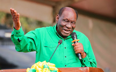 Wasira: Chadema Wapo Honeymoon, Wanaenda Kujifungia Mahala”