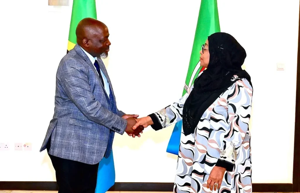 Rais Samia akutana na Rais wa TLS Boniface Mwabukusi