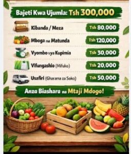 Biashara Zinazolipa Tanzania